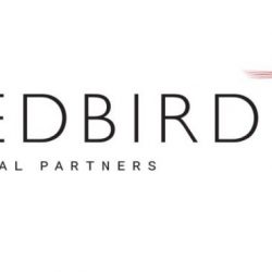 RedBird Logo